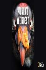 Watch National Geographic Worlds weirdest 0123movies