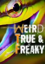 Watch Weird, True & Freaky 0123movies