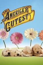 Watch America's Cutest 0123movies