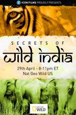 Watch Secrets of Wild India 0123movies