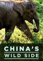 Watch China's Wild Side 0123movies