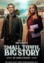 Watch Small Town, Big Story 0123movies