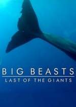 Watch Big Beasts: Last of the Giants 0123movies