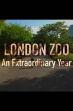 Watch London Zoo: An Extraordinary Year 0123movies