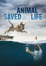 Watch An Animal Saved My Life 0123movies