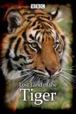 Watch Lost Land of the Tiger 0123movies