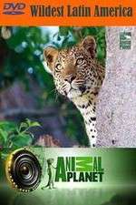 Watch Wildest Latin America 0123movies