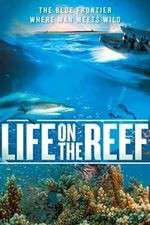 Watch Life on the Reef 0123movies
