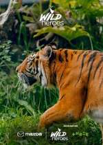 Watch Wild Heroes 0123movies