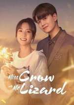 Watch Miss Crow with Mr. Lizard 0123movies