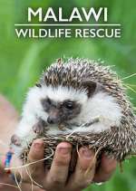 Watch Malawi Wildlife Rescue 0123movies