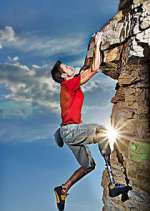 Watch Fight to Survive 0123movies