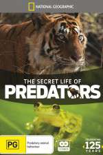 Watch Secret Life of Predators 0123movies
