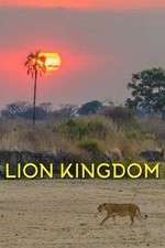 Watch Lion Kingdom 0123movies
