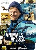 Watch Animals Up Close with Bertie Gregory 0123movies