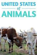 Watch United States of Animals 0123movies