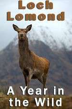 Watch Loch Lomond: A Year in the Wild 0123movies