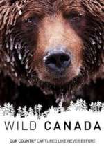 Watch Wild Canada 0123movies