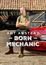 Watch Ant Anstead: Born Mechanic 0123movies