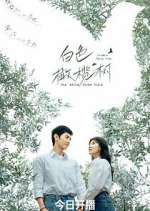 Watch The White Olive Tree 0123movies