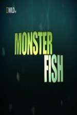 Watch National Geographic Monster Fish 0123movies