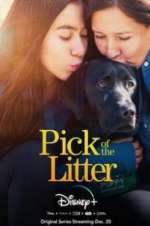 Watch Pick of the Litter 0123movies