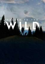 Watch Called to the Wild 0123movies