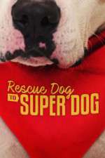 Watch Rescue Dog to Super Dog (US) 0123movies