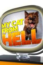 Watch My Cat from Hell 0123movies