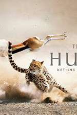 Watch The Hunt 0123movies
