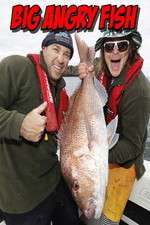 Watch Big Angry Fish 0123movies