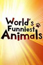 Watch The World\'s Funniest Animals 0123movies