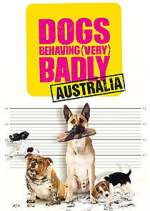 Watch Dogs Behaving (Very) Badly Australia 0123movies