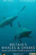 Watch Britain's Whales and Sharks 0123movies