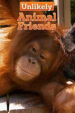 Watch Unlikely Animal Friends 0123movies