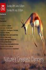 Watch Nature's Greatest Dancers 0123movies