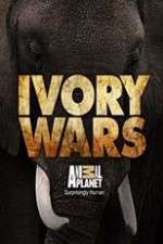 Watch Ivory Wars 0123movies