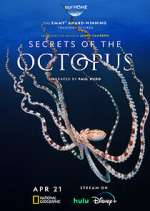 Watch Secrets of the Octopus 0123movies