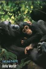 Watch Hello World! 0123movies