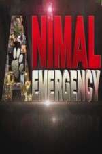 Watch Animal Emergency 0123movies