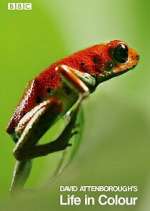 Watch Attenborough's Life in Colour 0123movies