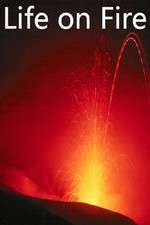 Watch Life on Fire 0123movies
