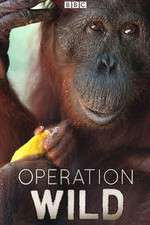 Watch Operation Wild 0123movies