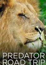Watch Predator Road Trip 0123movies