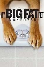 Watch My Big Fat Pet Makeover 0123movies