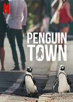 Watch Penguin Town 0123movies