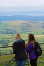 Watch Walks of Life 0123movies