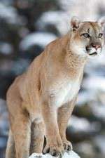 Watch Race of Life 0123movies