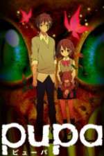 Watch Pupa 0123movies