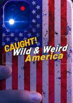 Watch Wild & Weird America 0123movies